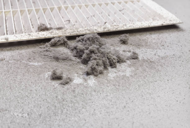 Best HVAC Air Duct Cleaning  in Woodland Beach, MI