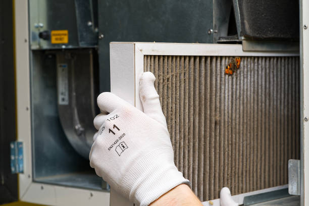 Best HVAC Maintenance and Cleaning  in Woodland Beach, MI